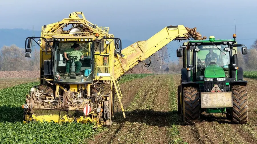 Agriculture workers — Crown Enterprises Overseas Employment